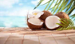 Noce di Cocco