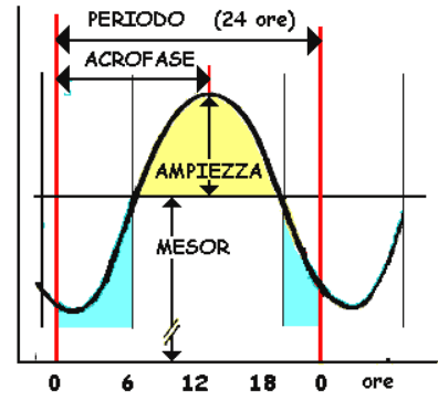 Ritmi Circadiani