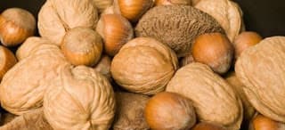 Noci e nocciole controllano diabete e appetito