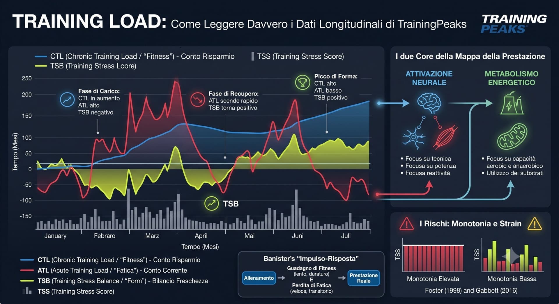 Training Load: come leggere davvero i dati longitudinali di TrainingPeaks